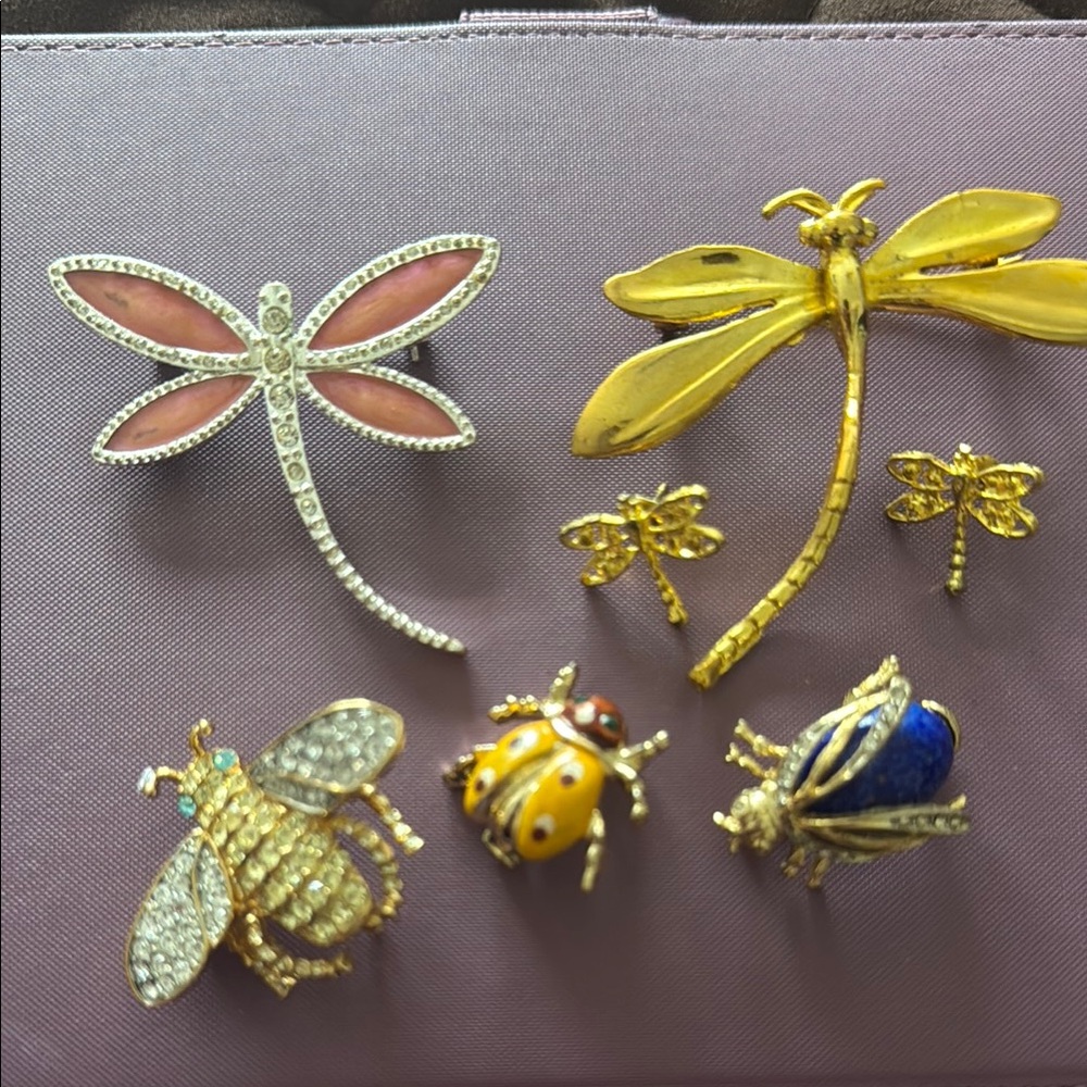 Elegant Dragonfly and Insect Brooch Set/ VINTAGE 🪰🪲🐞